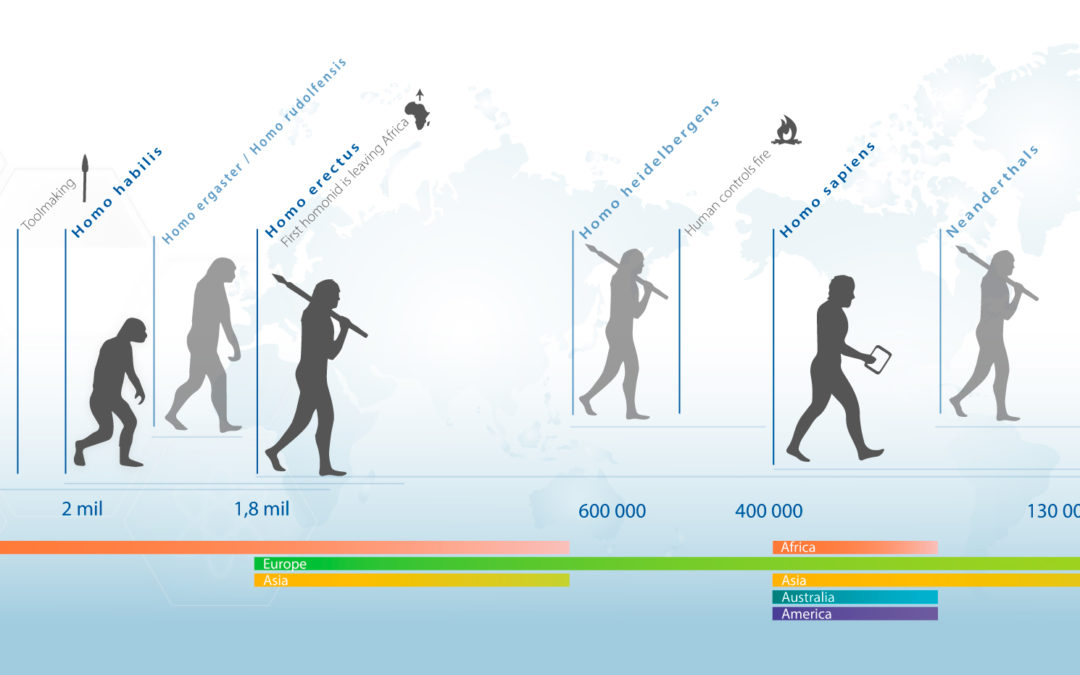 Infografie évolution être humain